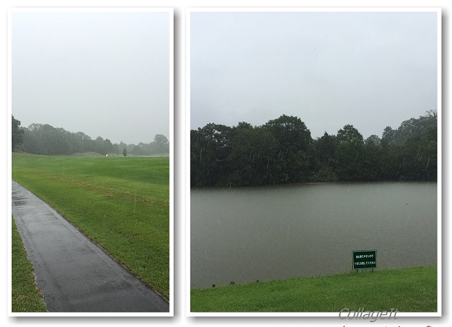 20160918 3日目_ゴルフ.jpg